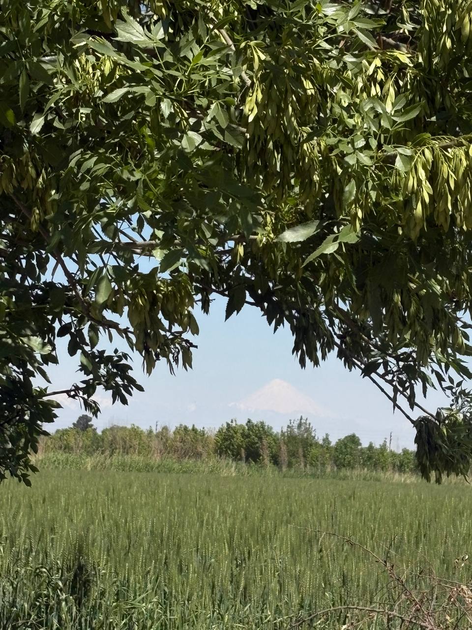 تصویر روستا
