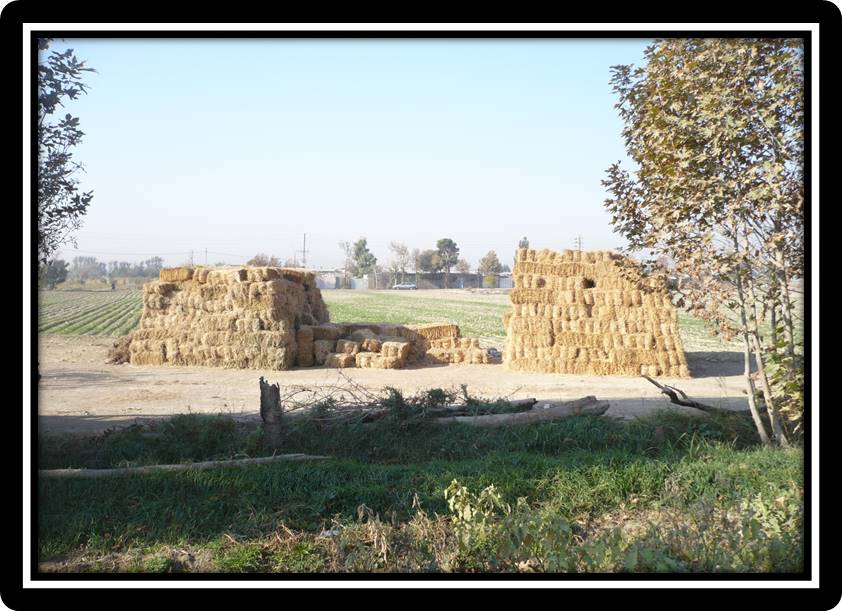 پاورپوینت روستای بهمن اباد اسلامشهر در استان تهران - 86 اسلاید