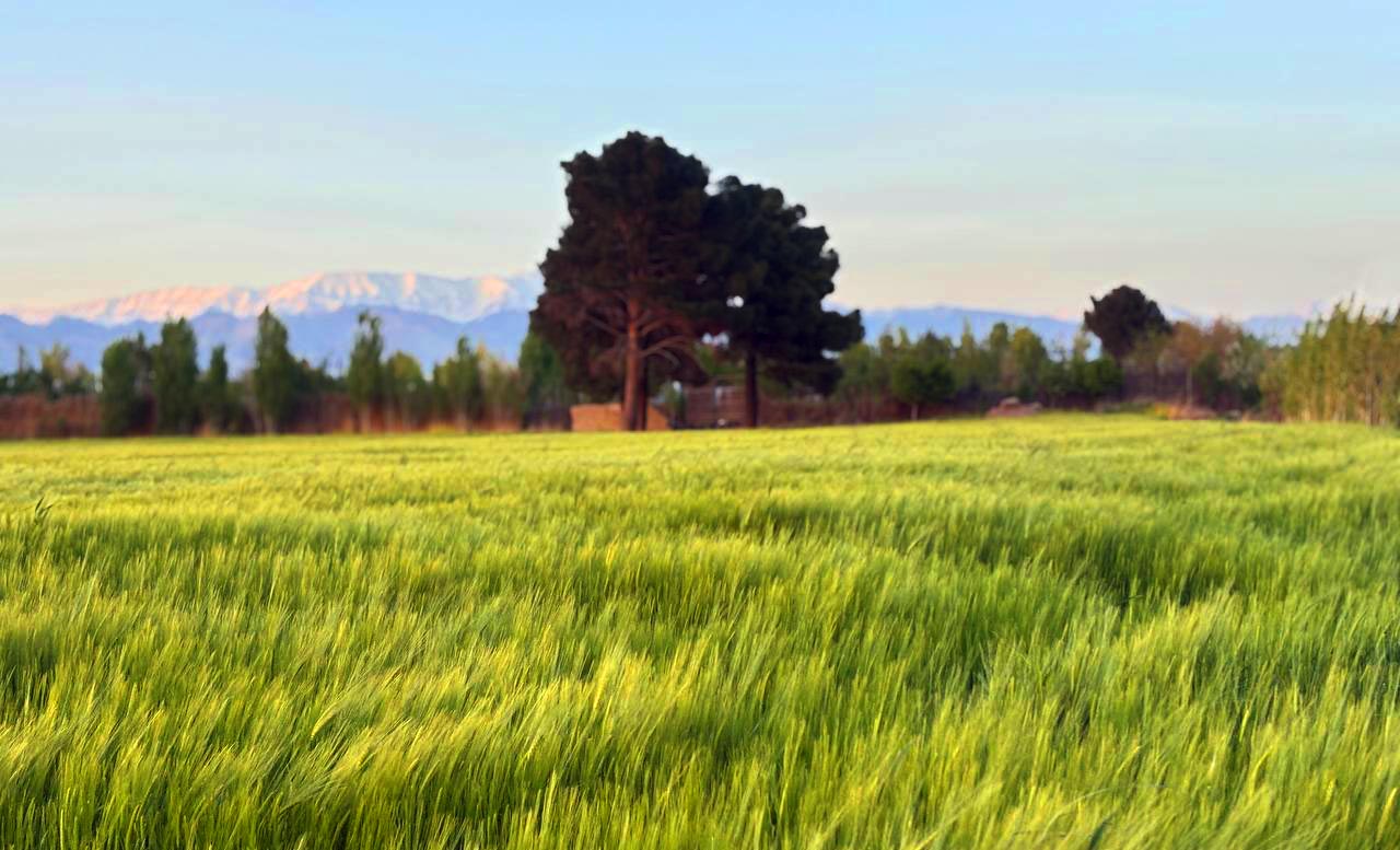 نمای روستا